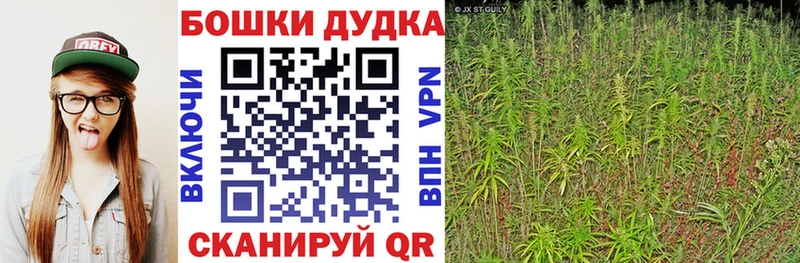 Где можно купить наркотики Альметьевск гидра ссылки СОЛЬ ГАШ Каннабис ТГК