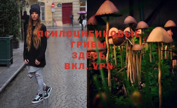 меф Майский