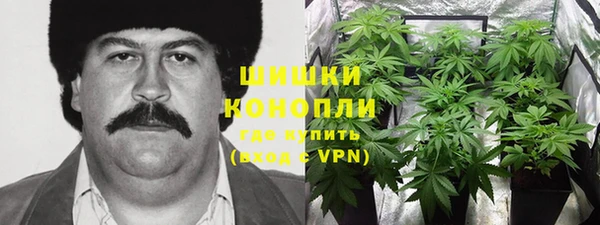 меф Майский