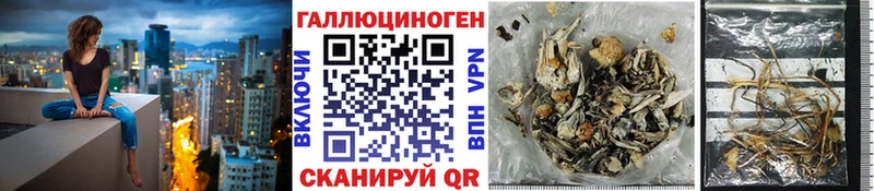 Псилоцибиновые грибы Cubensis  Альметьевск 