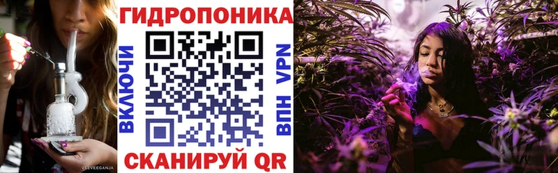 дарнет шоп  Альметьевск  Бошки Шишки сатива 